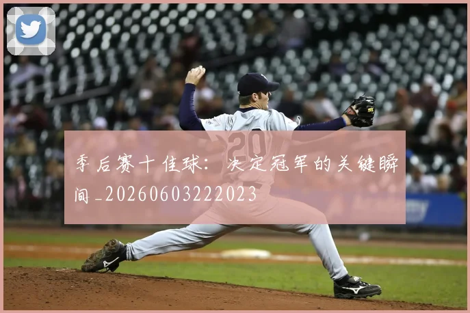 季后赛十佳球:决定冠军的关键瞬间_20260603222023
