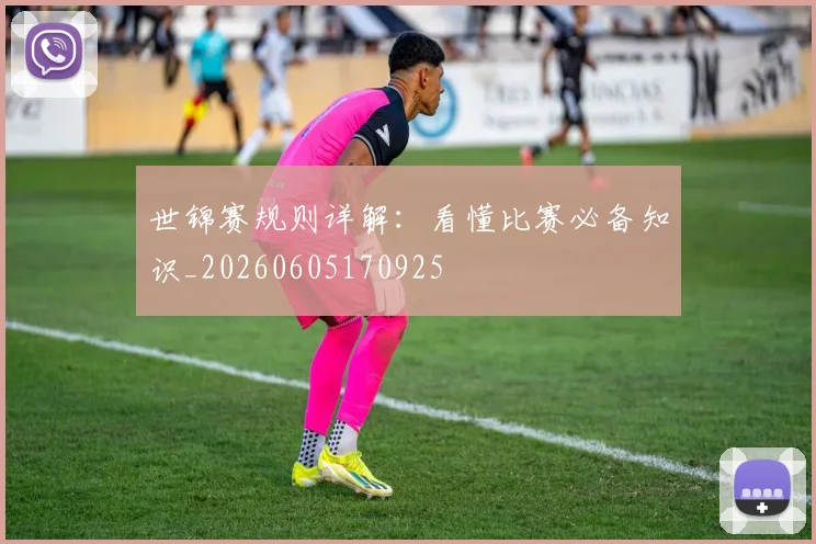 世锦赛规则详解:看懂比赛必备知识_20260605170925