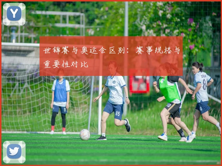 世锦赛与奥运会区别：赛事规格与重要性对比