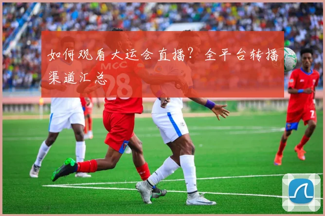 如何观看大运会直播？全平台转播渠道汇总